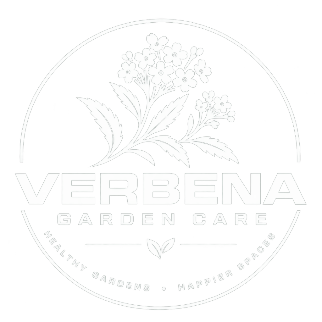 Verbena Garden Care